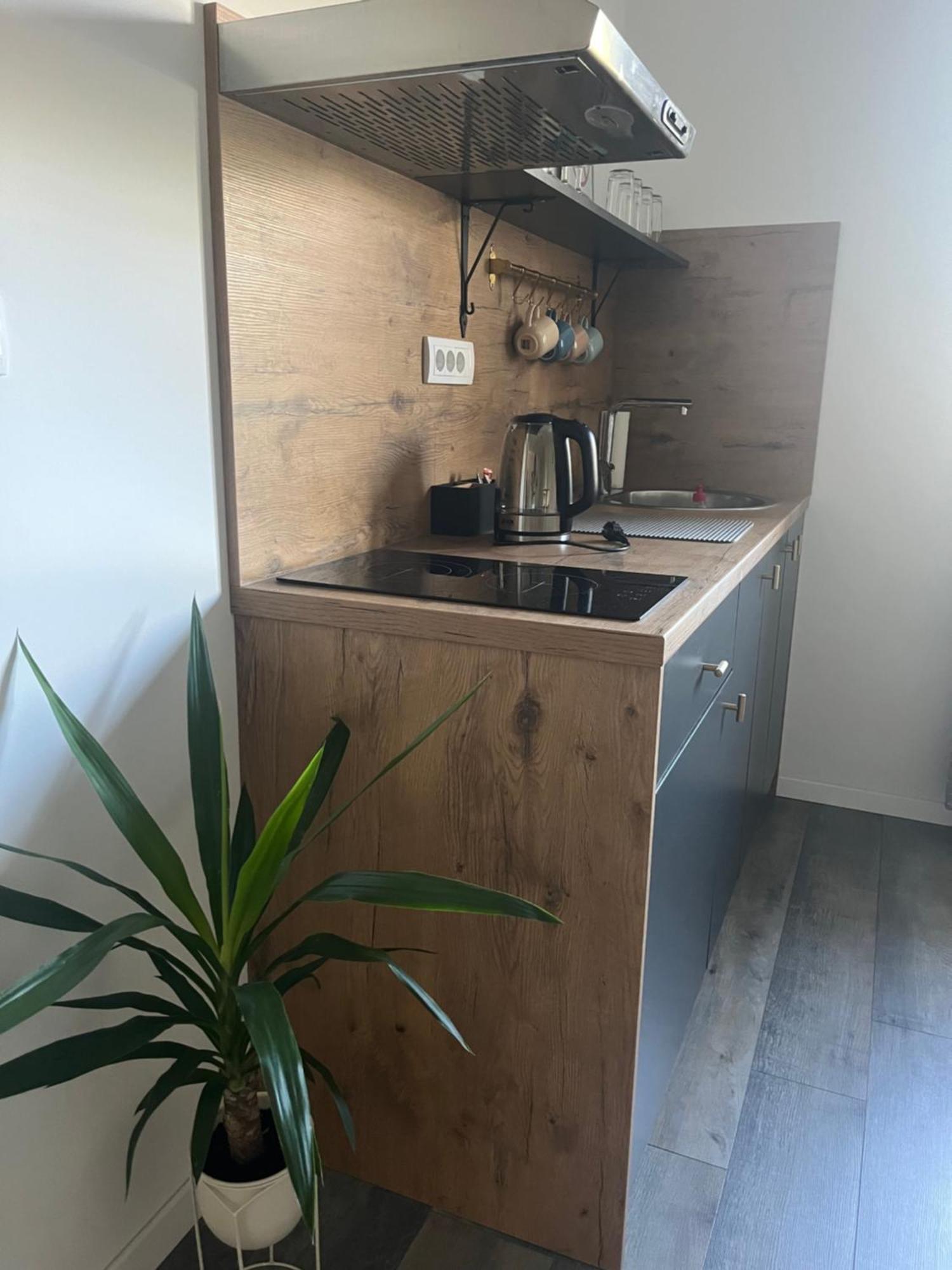 Beoair Apartments Surčin エクステリア 写真